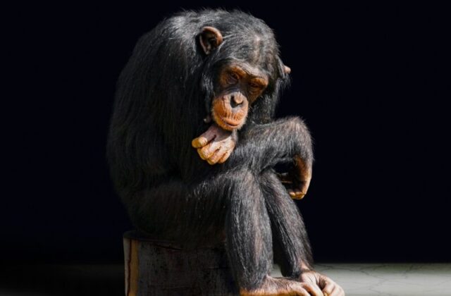 La noia che abbiamo dimenticato: perché ci fa bene