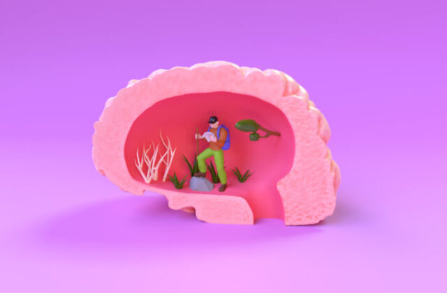 Quasi nessuno ne assume abbastanza: ecco cosa fa la colina al tuo cervello